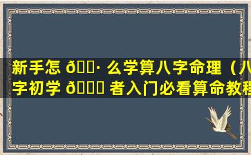 新手怎 🌷 么学算八字命理（八字初学 🐈 者入门必看算命教程(初学者一定要看!)）